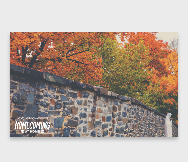 fall trees by wall